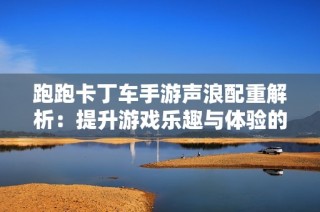 跑跑卡丁车手游声浪配重解析：提升游戏乐趣与体验的全面指南