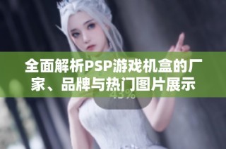 全面解析PSP游戏机盒的厂家、品牌与热门图片展示