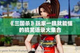 《三国杀》玩家一眼就能懂的搞笑语录大集合