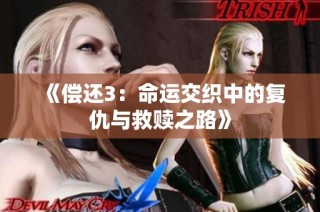 《偿还3：命运交织中的复仇与救赎之路》