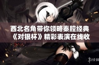 西北名角带你领略秦腔经典《对银杯》精彩表演在线收听