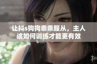 让抖s狗狗乖乖服从，主人该如何训练才能更有效