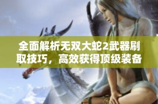 全面解析无双大蛇2武器刷取技巧，高效获得顶级装备的终极攻略