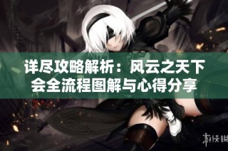 详尽攻略解析：风云之天下会全流程图解与心得分享