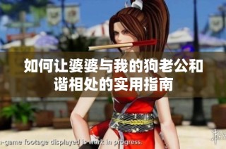 如何让婆婆与我的狗老公和谐相处的实用指南