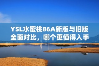 YSL水蜜桃86A新版与旧版全面对比，哪个更值得入手？