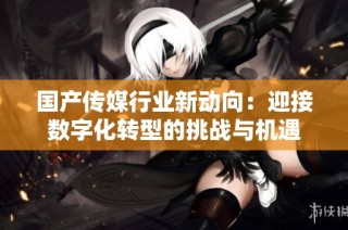 国产传媒行业新动向：迎接数字化转型的挑战与机遇