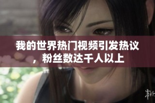 我的世界热门视频引发热议，粉丝数达千人以上