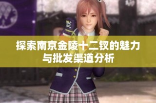 探索南京金陵十二钗的魅力与批发渠道分析