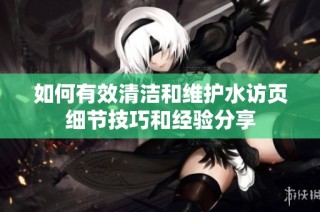 如何有效清洁和维护水访页细节技巧和经验分享