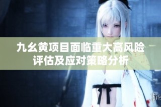 九幺黄项目面临重大高风险评估及应对策略分析