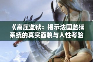 《高压监狱：揭示法国监狱系统的真实面貌与人性考验》