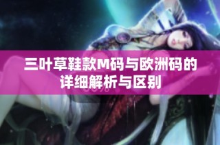 三叶草鞋款M码与欧洲码的详细解析与区别