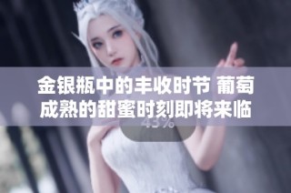 金银瓶中的丰收时节 葡萄成熟的甜蜜时刻即将来临