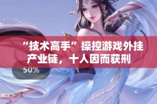 “技术高手”操控游戏外挂产业链，十人因而获刑