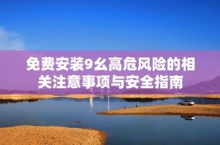 免费安装9幺高危风险的相关注意事项与安全指南