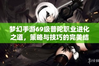 梦幻手游69级普陀职业进化之道，策略与技巧的完美结合揭秘