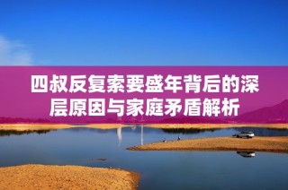 四叔反复索要盛年背后的深层原因与家庭矛盾解析