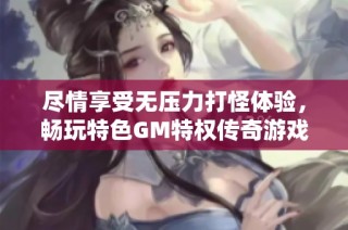 尽情享受无压力打怪体验，畅玩特色GM特权传奇游戏