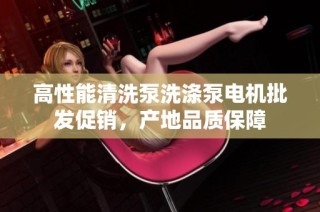 高性能清洗泵洗涤泵电机批发促销，产地品质保障