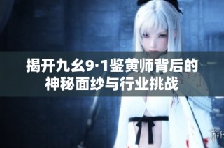 揭开九幺9·1鉴黄师背后的神秘面纱与行业挑战