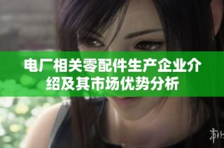 电厂相关零配件生产企业介绍及其市场优势分析