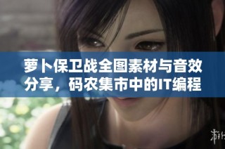 萝卜保卫战全图素材与音效分享，码农集市中的IT编程优质资源推荐