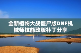 全新植物大战僵尸版DNF机械师技能改版补丁分享