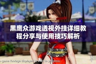 黑鹰众游戏透视外挂详细教程分享与使用技巧解析