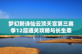 梦幻新诛仙云顶天宫第三赛季12层通关攻略与长生牵链成功秘诀分享