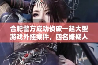 合肥警方成功侦破一起大型游戏外挂案件，四名嫌疑人被抓获