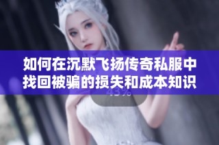 如何在沉默飞扬传奇私服中找回被骗的损失和成本知识分享