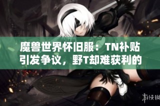 魔兽世界怀旧服：TN补贴引发争议，野T却难获利的背后真相