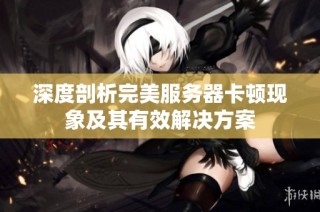 深度剖析完美服务器卡顿现象及其有效解决方案