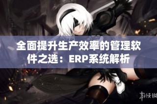 全面提升生产效率的管理软件之选：ERP系统解析
