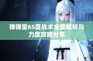 弹弹堂65度战术全面解析与力度攻略分享