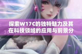 探索W17C的独特魅力及其在科技领域的应用与前景分析