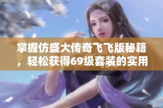 掌握仿盛大传奇飞飞版秘籍，轻松获得69级套装的实用技巧揭秘