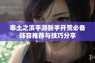 率土之滨手游新手开荒必备阵容推荐与技巧分享