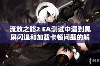 流放之路2 EA测试中遇到黑屏闪退和加载卡顿问题的解决办法详细解析