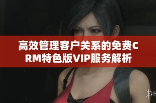 高效管理客户关系的免费CRM特色版VIP服务解析