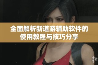 全面解析新道游辅助软件的使用教程与技巧分享