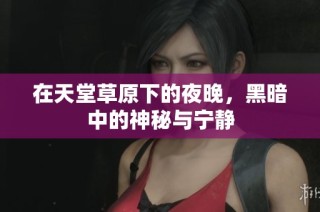 在天堂草原下的夜晚，黑暗中的神秘与宁静