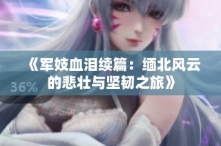 《军妓血泪续篇：缅北风云的悲壮与坚韧之旅》