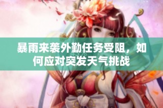 暴雨来袭外勤任务受阻，如何应对突发天气挑战