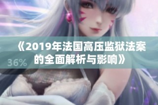 《2019年法国高压监狱法案的全面解析与影响》