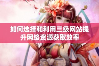 如何选择和利用三级网站提升网络资源获取效率