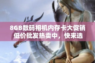 8GB数码相机内存卡大促销 低价批发热卖中，快来选购！
