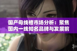 国产母线槽市场分析：聚焦国内一线知名品牌与发展前景