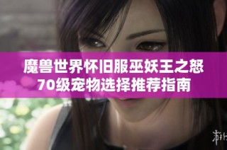 魔兽世界怀旧服巫妖王之怒70级宠物选择推荐指南